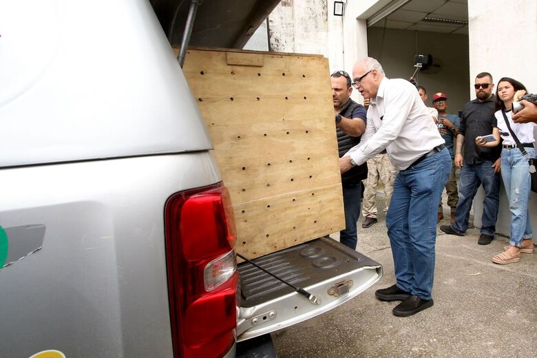 Aves vão passar por um processo de adaptação para serem soltas na natureza (Foto: Ed Machado/Folha de Pernambuco)