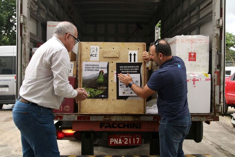 Aves vão passar por um processo de adaptação para serem soltas na natureza (Foto: Ed Machado/Folha de Pernambuco)