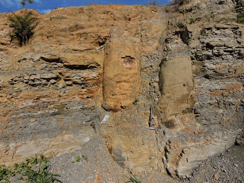 A descoberta, feita durante uma pesquisa de doutorado da estudante do Programa de Pós-Graduação em Geologia da UFPR Thammy Ellin Mottin (Foto: Divulgação)