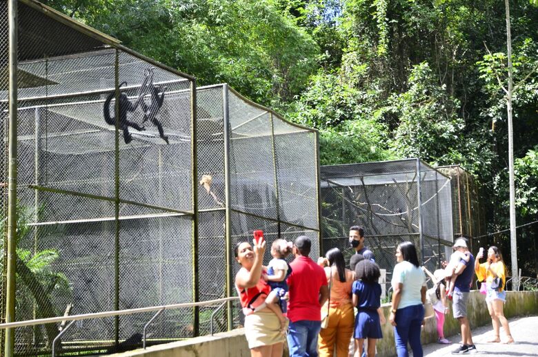 Parque Dois Irmãos é opção de lazer nas férias - Foto: Arthur Mota/Folha de Pernambuco
