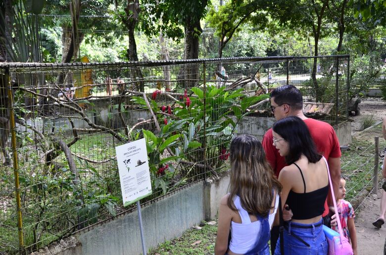 Parque Dois Irmãos é opção de lazer nas férias - Foto: Arthur Mota/Folha de Pernambuco
