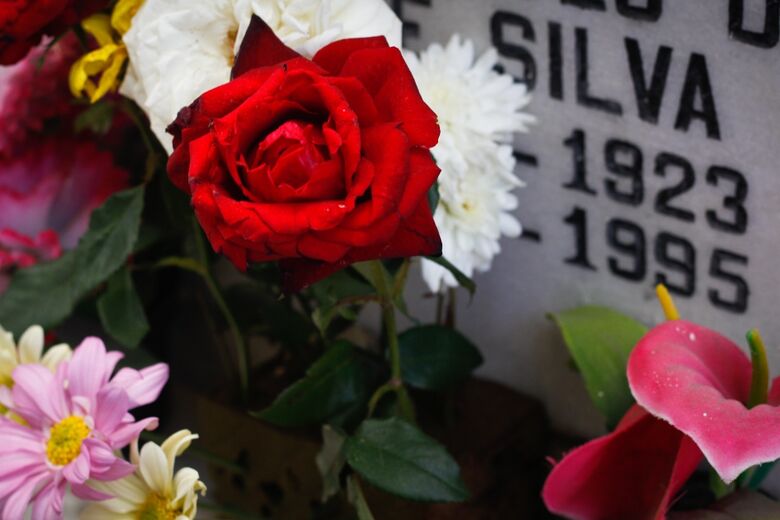 Cemitério de Santo Amaro. Foto: Melissa Fernandes/ Folha de Pernambuco