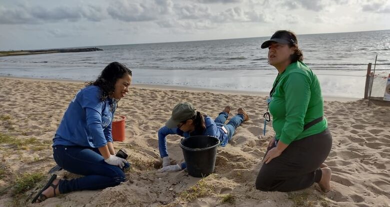 As analistas ambientais da SEMA Bruna Maldonado, Jocelane Cavalcante e Geanne Santos ficaram responsáveis pelo deslocamento dos ovos - Imagem: Cortesia