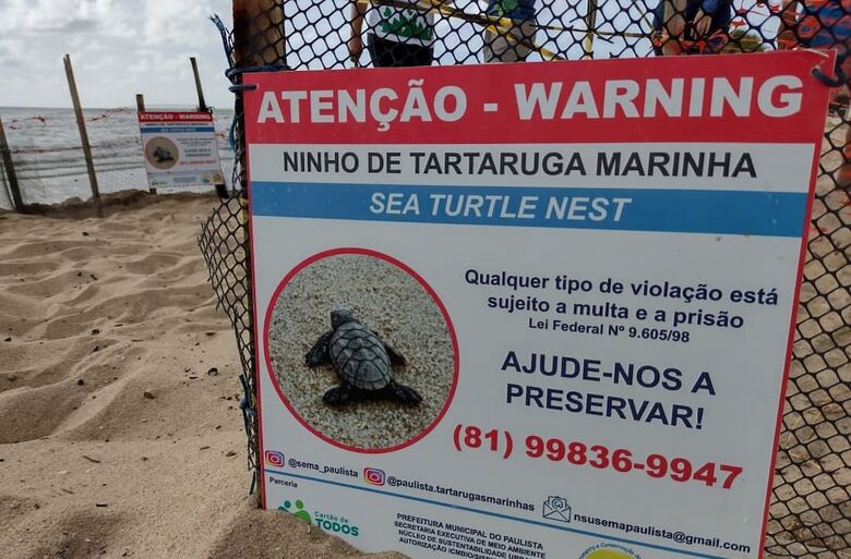As analistas ambientais da SEMA Bruna Maldonado, Jocelane Cavalcante e Geanne Santos ficaram responsáveis pelo deslocamento dos ovos - Imagem: Cortesia