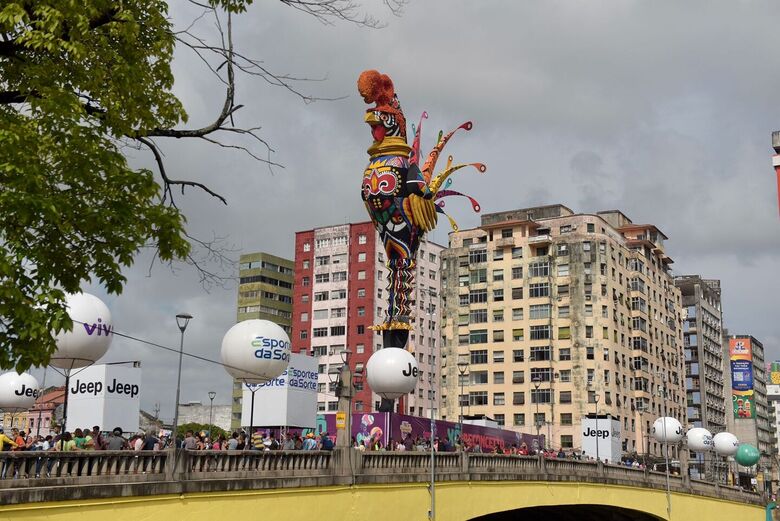 Galo gigante - Foto: Alfeu Tavares/Folha de Pernambuco