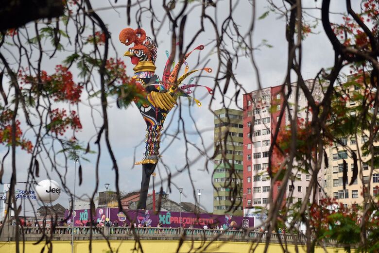 Galo gigante - Foto: Alfeu Tavares/Folha de Pernambuco
