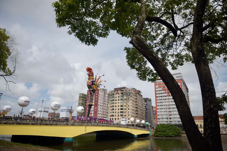Galo gigante - Foto: Alfeu Tavares/Folha de Pernambuco