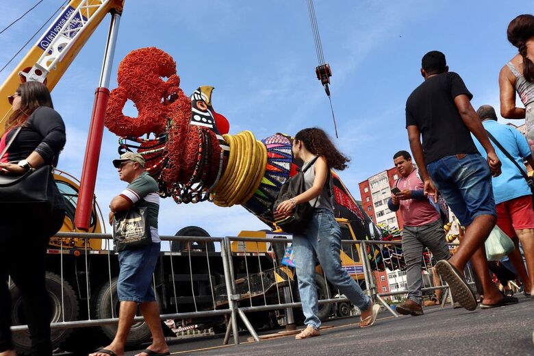 Galo Gigante na Ponte Duarte Coelho. Foto: Júnior Soares/Folha de Pernambuco