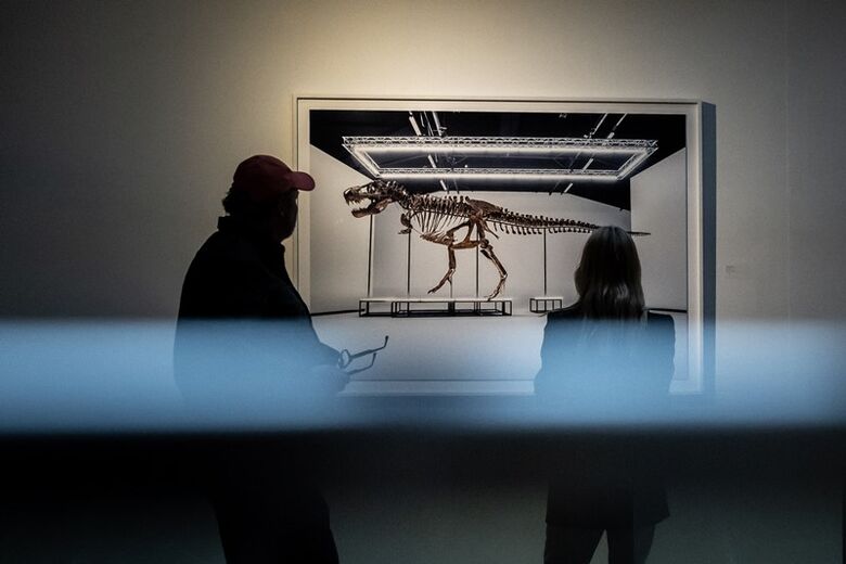 Esqueleto de Tiranossauro é leiloado por 6,1 milhões de dólares | Foto: Fabrice Coffrini/AFP