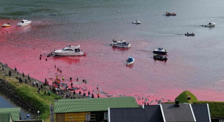 Mar das Ilhas Faroe após matança (Foto: Handout/ Sea Shepherd UK/AFP)