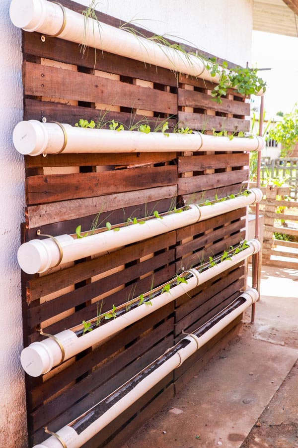 Porto de Suape realiza Semana do Meio Ambiente a partir da próxima segunda (5). Foto: Divulgação/ Porto de Suape