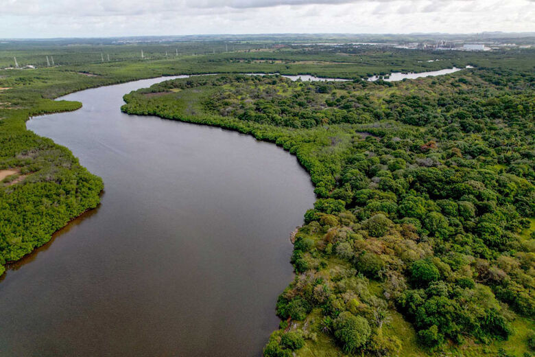 Porto de Suape realiza Semana do Meio Ambiente a partir da próxima segunda (5). Foto: Divulgação/ Porto de Suape