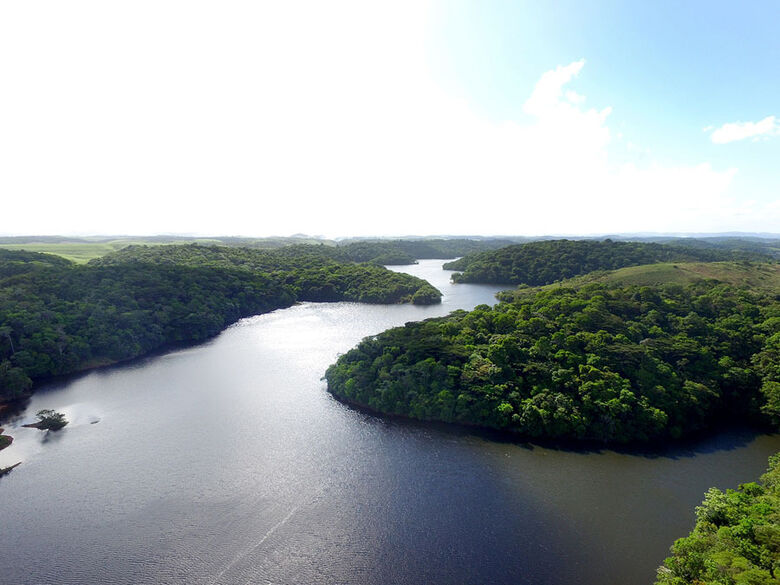 Porto de Suape realiza Semana do Meio Ambiente a partir da próxima segunda (5). Foto: Divulgação/ Porto de Suape