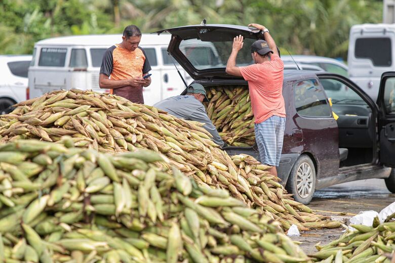 Movimentação da venda de milho no Ceasa. Foto: Alexandre Aroeira/ Folha de Pernambuco