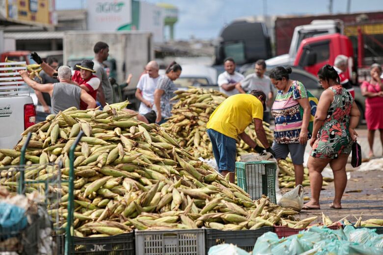 Movimentação da venda de milho no Ceasa. Foto: Alexandre Aroeira/ Folha de Pernambuco