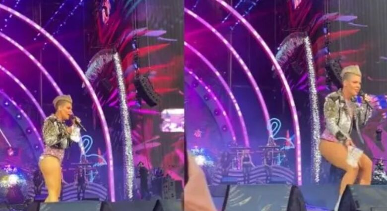 Cantora Pink foi atingida por um saco plástico com cinzas (Foto: Reprodução)