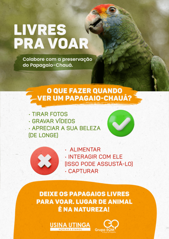 Orientações para a população sobre os papagaios-chauás. Foto: Divulgação