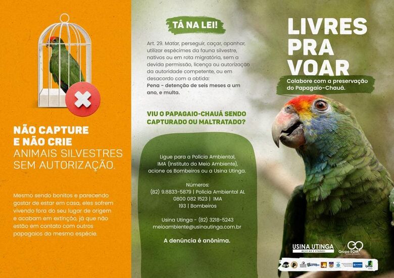 Orientações para a população sobre os papagaios-chauás. Foto: Divulgação