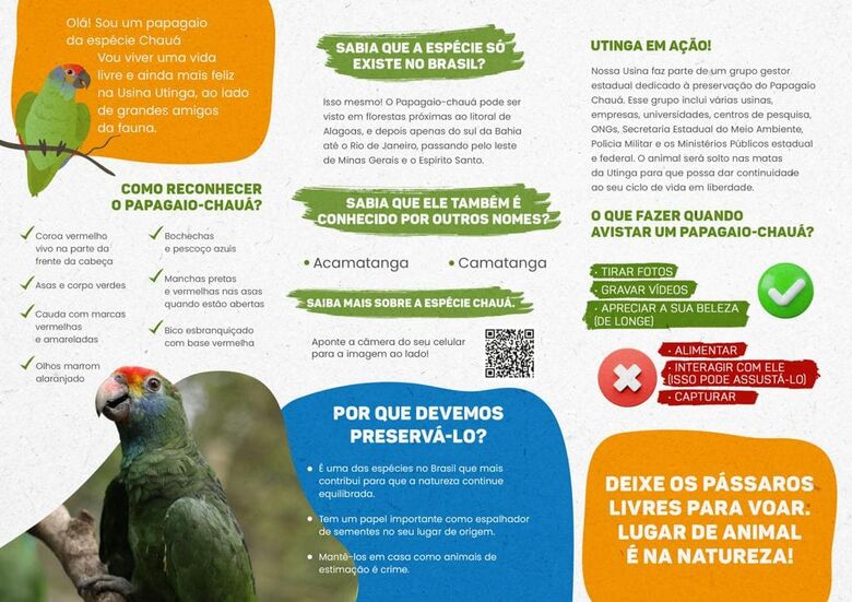 Orientações para a população sobre os papagaios-chauás. Foto: Divulgação