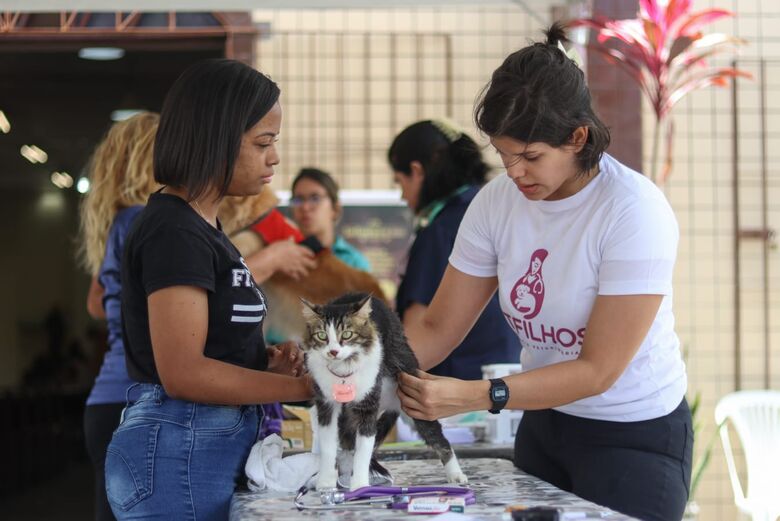Serviços voltados a cuidados com animais foram promovidos no Dia de São Francisco de Assis | Foto: Walli Fontenele/Folha de Pernambuco