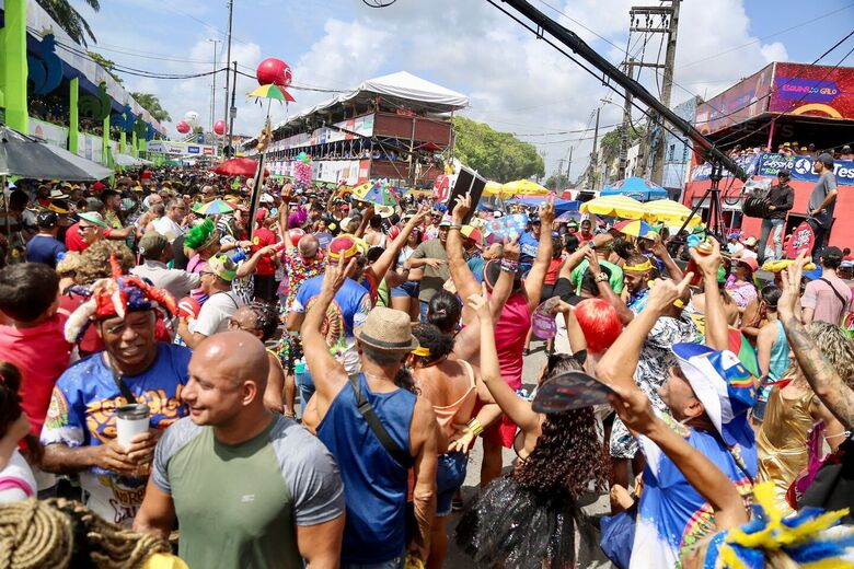 Foliões curtem o Galo da Madrugada 2024 (Foto: Alexandre Aroeira/Folha de Pernambuco)