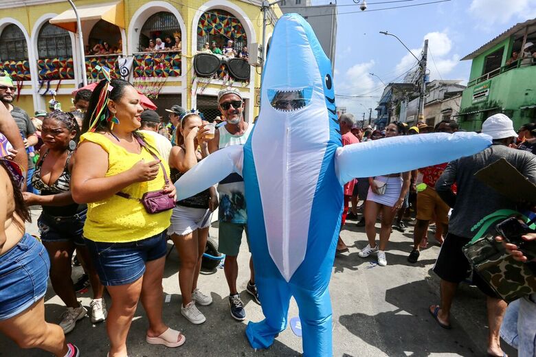 Foliões curtem o Galo da Madrugada 2024 (Foto: Alexandre Aroeira/Folha de Pernambuco)