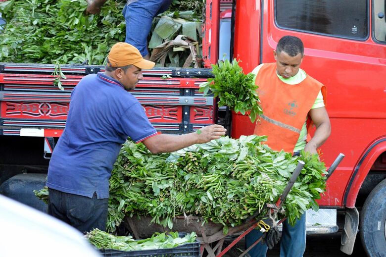 Feira do Bredo tem tradição de mais de 30 anos, no Ceasa-PE | Foto: Artur Cavalcanti - Divulgação/Ceasa