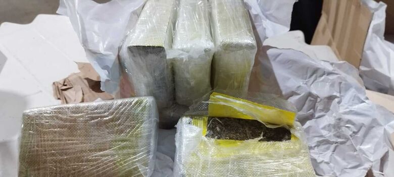 Receita Federal apreende mais de R$ 773.000,00 em entorpecentes em Centro de Triagem dos Correios, no Recife, com o apoio da cadela de faro, da raça Pastor Belga de Malinois, Ursa.
Foto: Divulgação/Correios.