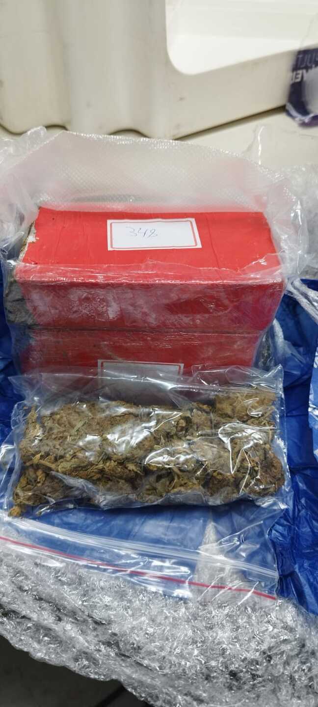 Receita Federal apreende mais de R$ 773.000,00 em entorpecentes em Centro de Triagem dos Correios, no Recife, com o apoio da cadela de faro, da raça Pastor Belga de Malinois, Ursa.
Foto: Divulgação/Correios.