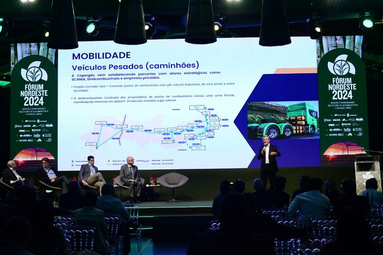 Crédito: Ricardo Fernandes/Folha de Pernambuco