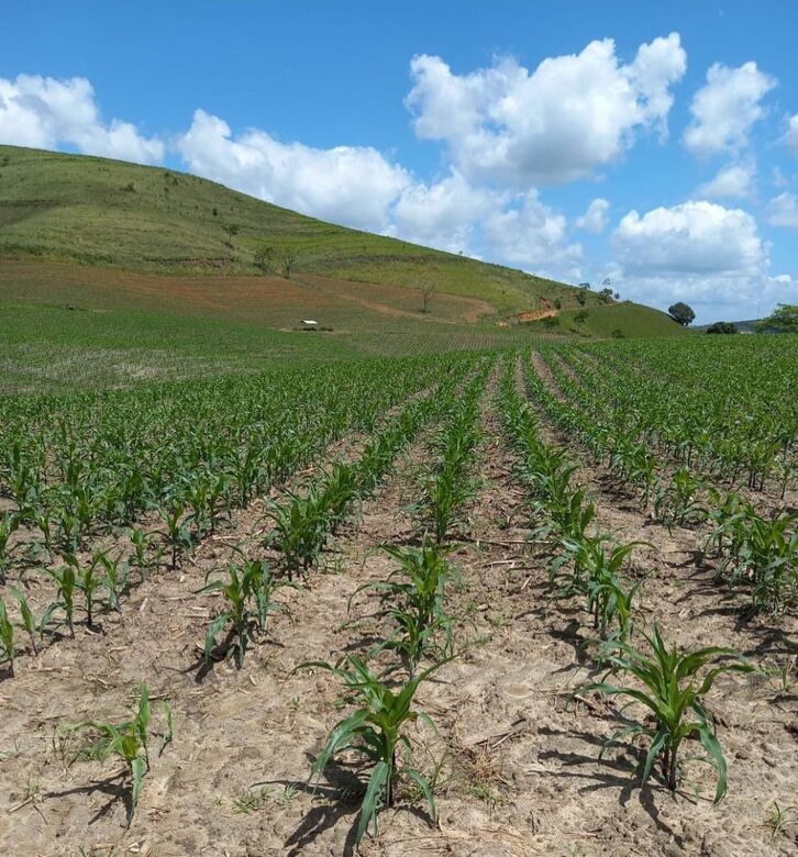 Agropecuária Mata Sul inova em meio a monocultura | Foto: Divulgação