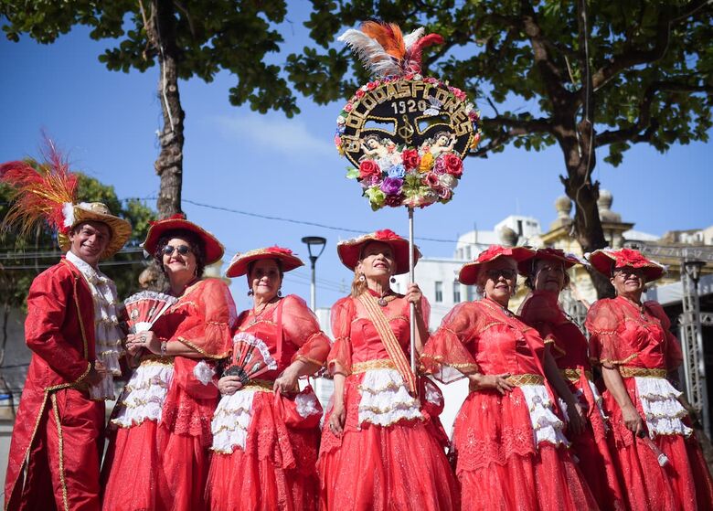 Alguns dos blocos que vão participar do Aurora dos Carnavais. Foto: Alfeu Tavares/Folha de Pernambuco