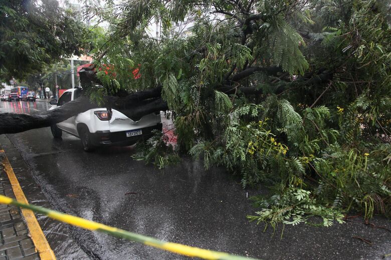 No bairro dos Aflitos, na Zona Norte do Recife, uma árvore caiu em cima de um carro em meio ao temporal | Foto: Davi de Queiroz/Folha de Pernambuco