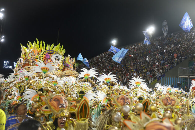 Desfile da Beija-Flor em 2025 | Foto: Tomaz Silva/Agência Brasil