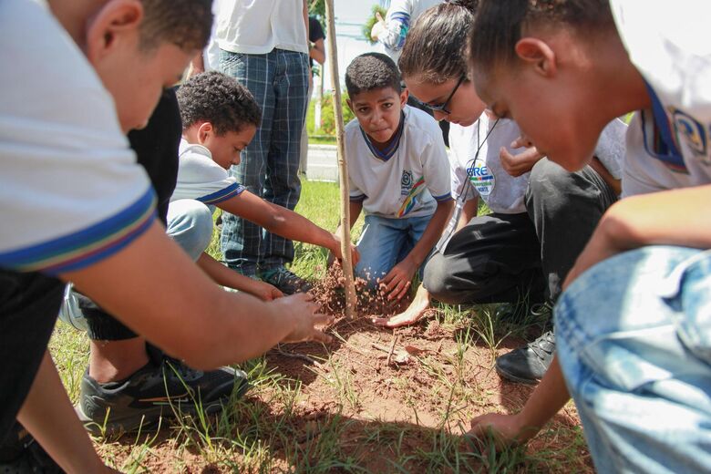 Primeiras mudas do projeto foram plantadas nesta terça-feira (3) | Foto: Davi de Queiroz/Folha de Pernambuco
