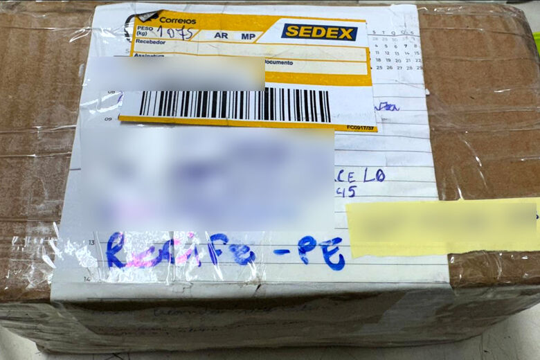 Material foi preso no Recife | Foto: Divulgação/PF