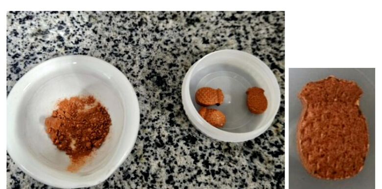 Material foi preso no Recife | Foto: Divulgação/PF