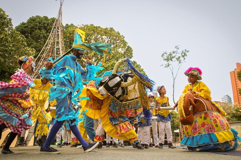 Apresentação do Boi Mirim de Água Fria no Parque da Tamarineira. Foto: Arthur Mota