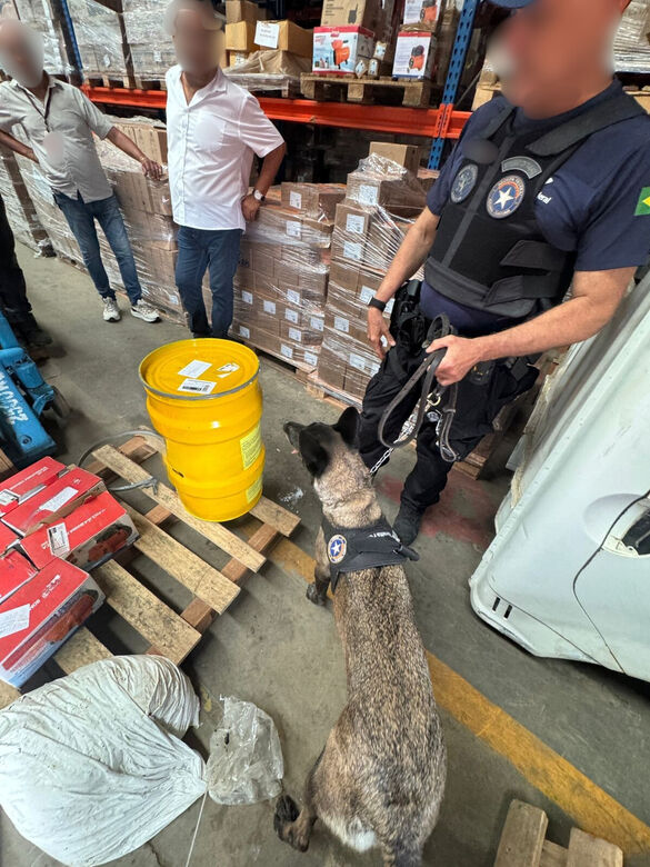 Apreensão aconteceu na última segunda (13) | Fotos: Divulgação