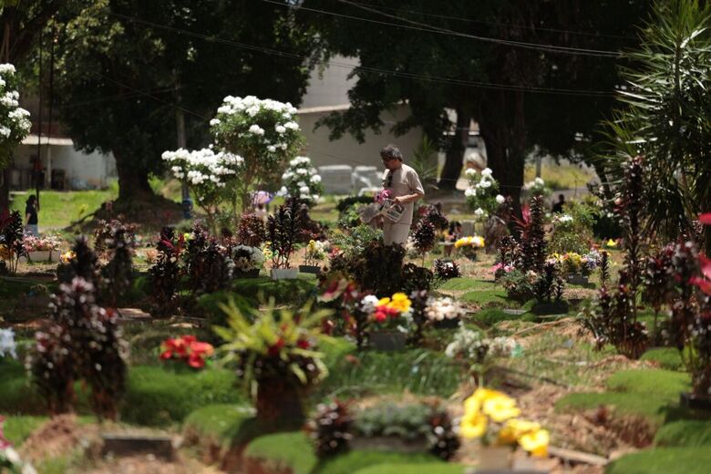 Feriado de Finados deve movimentar cerca de 15 mil pessoas nos cinco cemitério da capital pernambucana | Foto: Felipe Ribeiro/Folha de Pernambuco