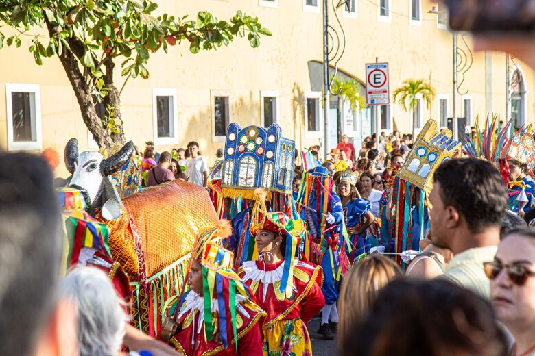 Foto: Matheus Ribeiro / Folha de Pernambuco