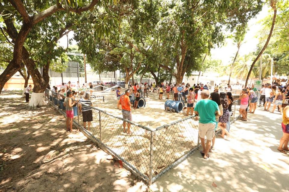 ParCão do Santos Dumont recebe feira de adoção 