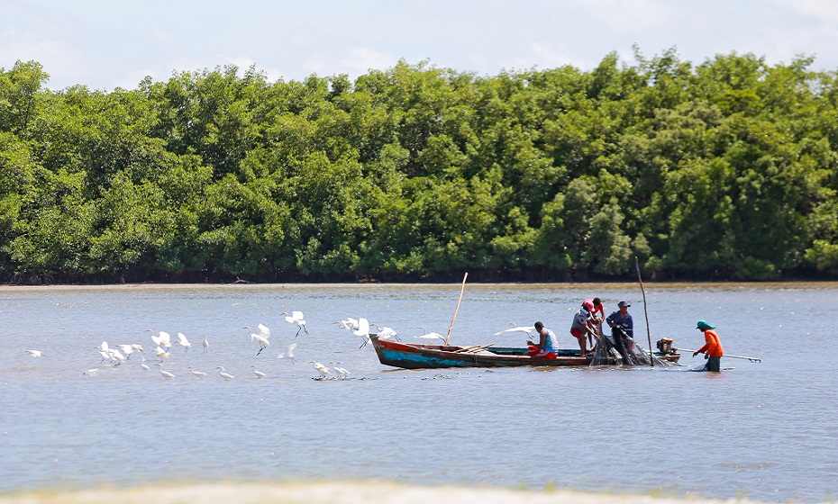 Pontal da Ilha de Itamaracá