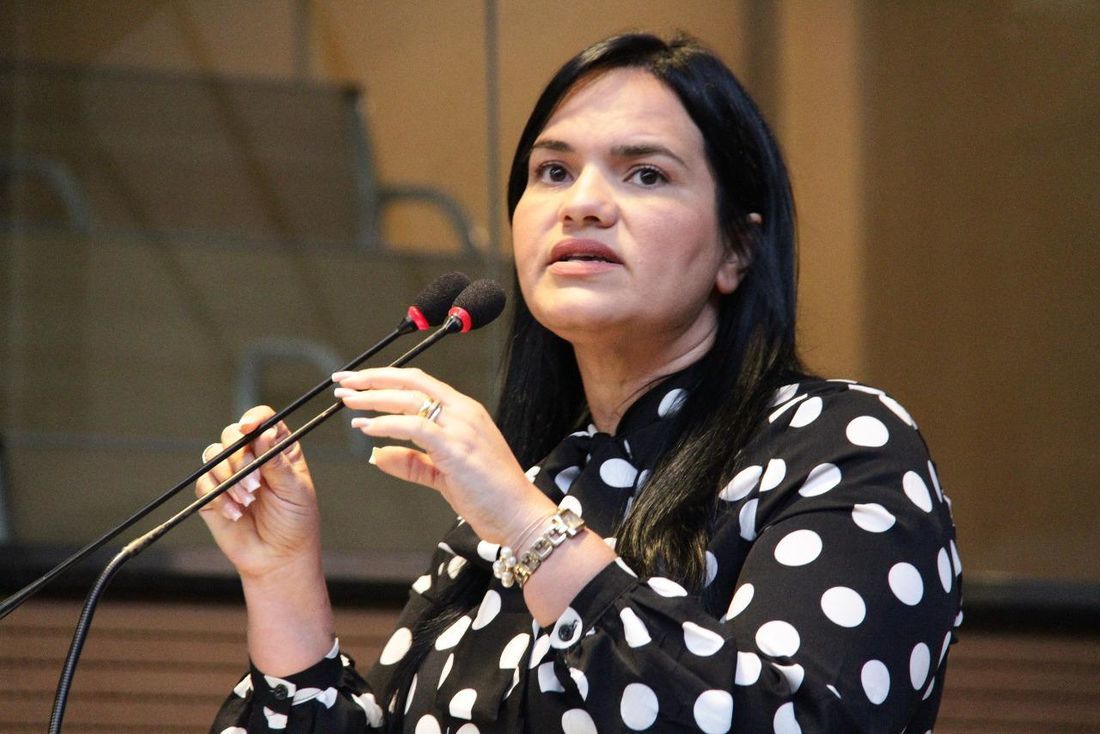 O texto é de autoria da vereadora Missionária Michele Collins