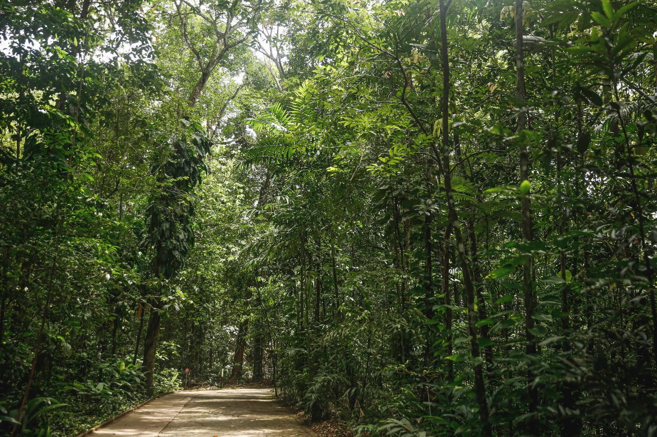 Jardim abarca 10,7 hectares de Mata Atlântica