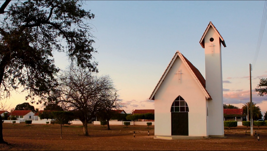 Vitivinícola Santa Maria - Rio Sol