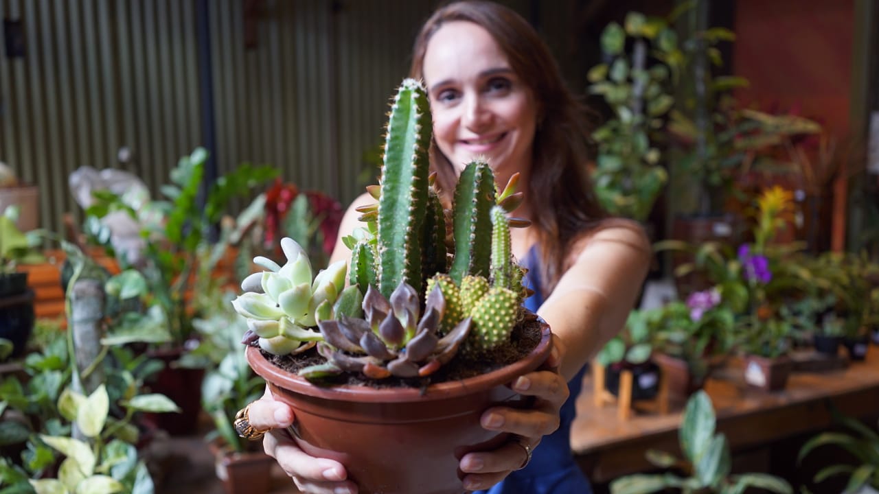 Tita Teixeira inova com os terrários em sua Botânica
