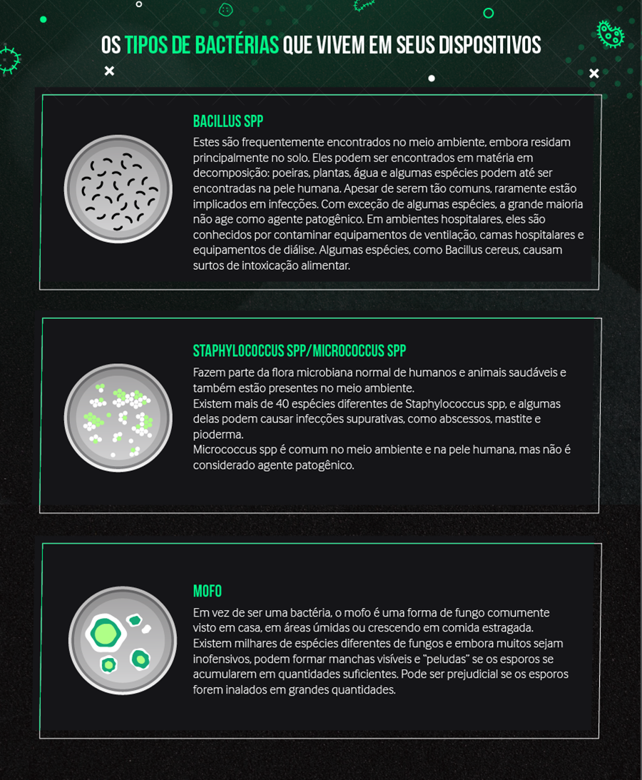 Os tipos de bactérias nos dispositivos 