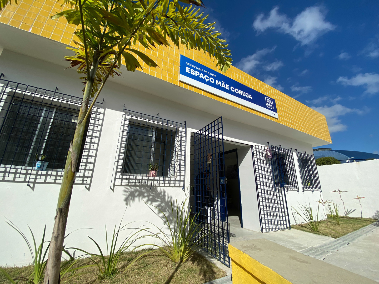 Mãe Coruja na Imbiribeira