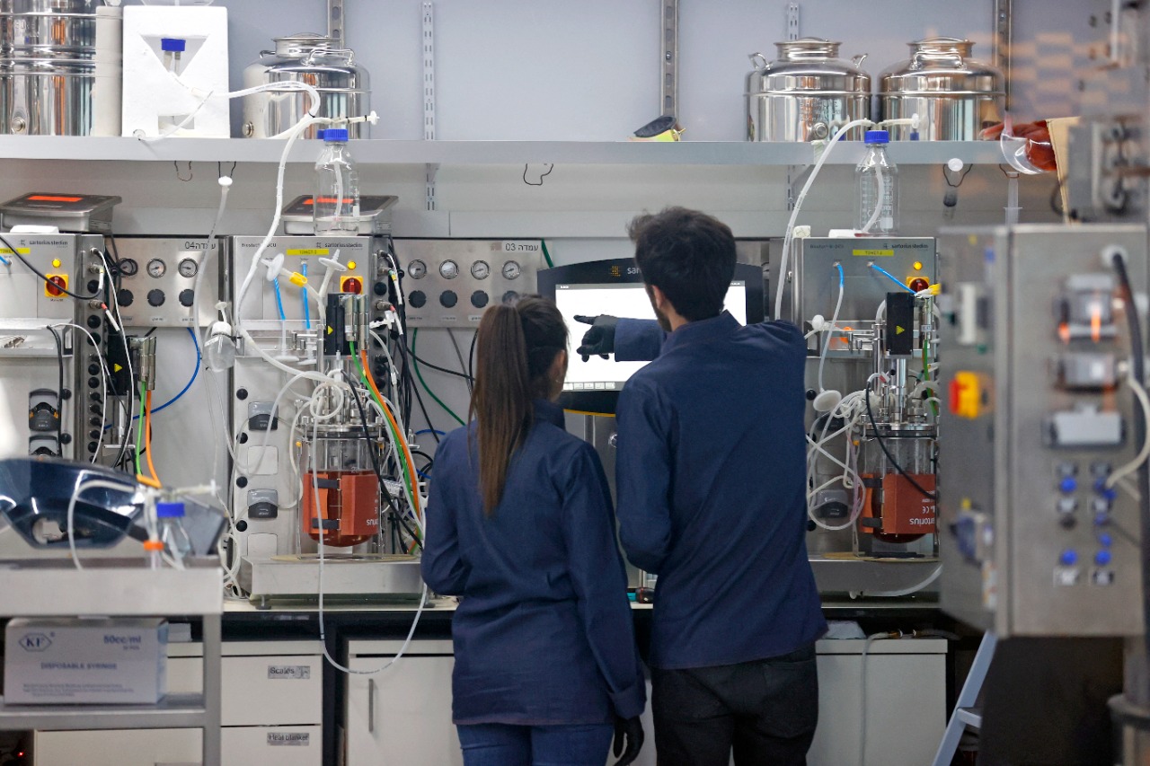 Os técnicos produzem carne de 